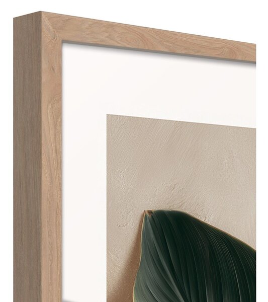 Tištěný obraz s rámem 50x70 cm Strelizia Leaf – Styler