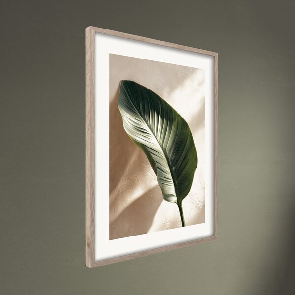 Tištěný obraz s rámem 50x70 cm Strelizia Leaf – Styler