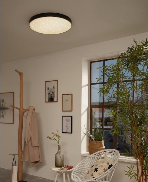 Briloner 7075-415 - LED Stropní svítidlo STAR SKY LED/24,5W/230V pr. 38 cm černá