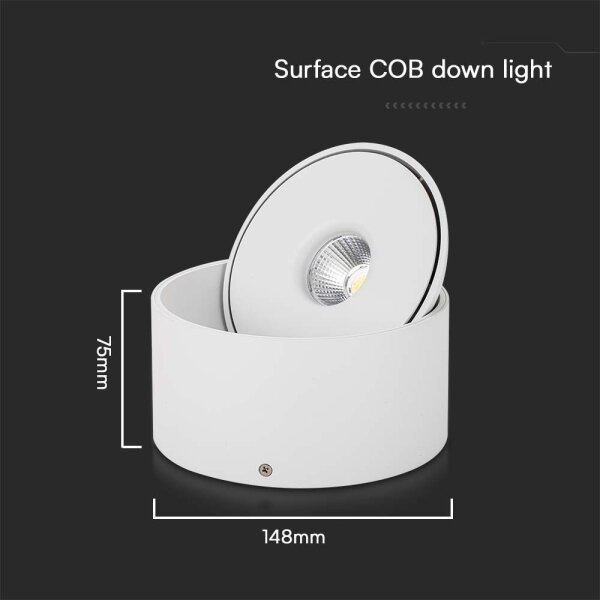 LED Bodové svítidlo LED/20W/230V 3000/4000/6400K bílá