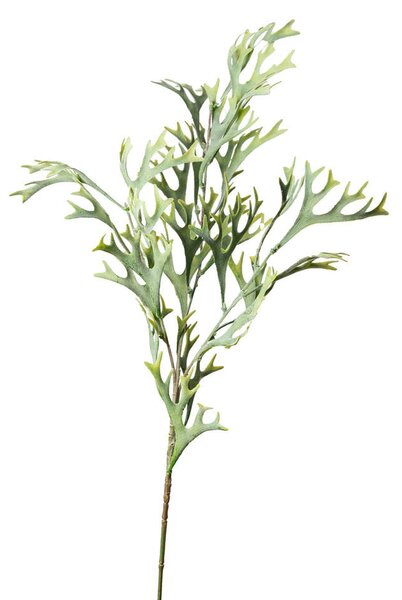 UMĚLÁ ROSTLINA kapradí 78 cm - Umělé rostliny