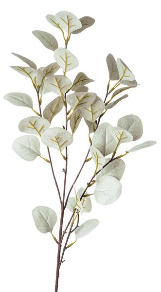 UMĚLÁ ROSTLINA eukalyptus/blahovičník 73 cm - Umělé rostliny