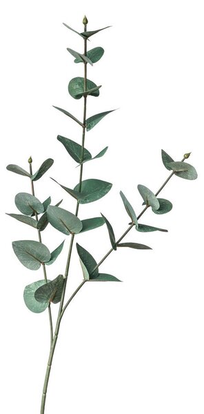 UMĚLÁ ROSTLINA eukalyptus/blahovičník 68 cm - Umělé rostliny