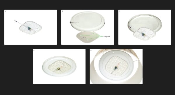 Duolla - LED Stropní svítidlo LUNETA LED/26W/230V pr. 60 cm 4000K černá/měděná