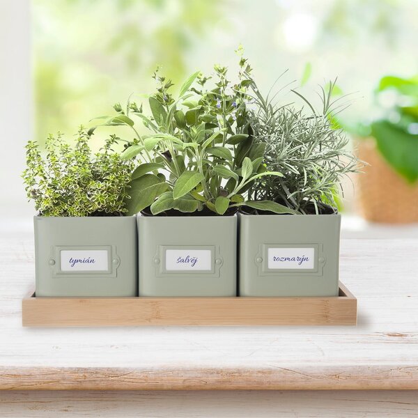 Kovové květináče na bylinky v sadě 3 ks Greenish – Orion