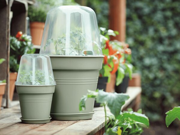 Podmiska Green Basics 34 cm, šedozelená