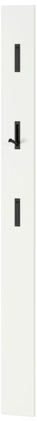 ŠATNÍ PANEL, bílá, černá, 15/170/3 cm - Šatní panely, Online Only