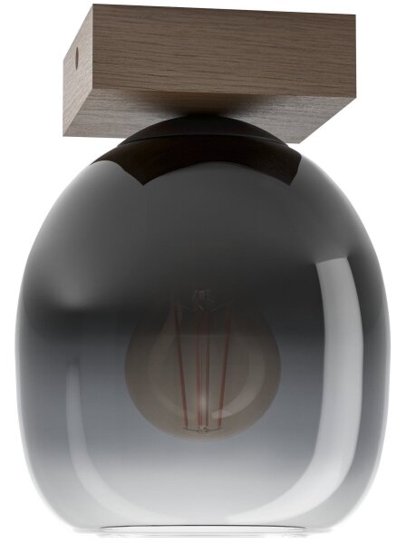 Eglo 900825 - Stropní svítidlo FILAGO 1xE27/40W/230V