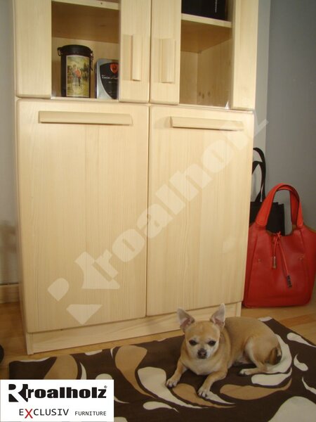 Prosklená knihovna masiv MOLLY SKLO 170x75x40 (knihovna z masivu )