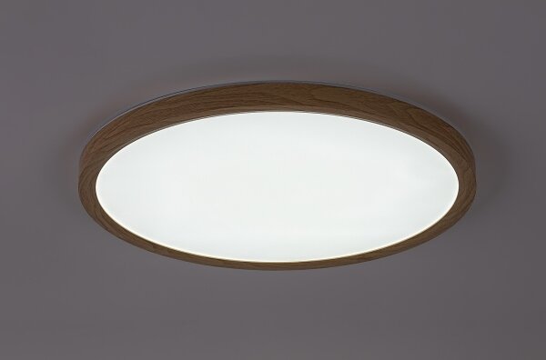 Rabalux 75085 - LED Koup. str. svítidlo LAUTREC 24W/230V pr. 40 cm IP44 béžová