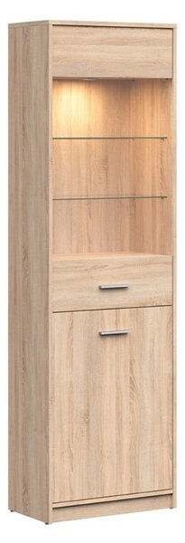 NEPO PLUS vitrína REG1D1W, dub sonoma