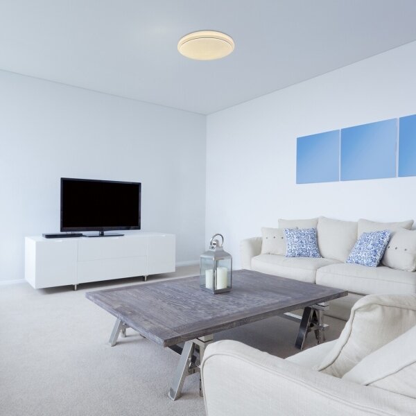 Rabalux 71183 - LED Stropní svítidlo TREVOR LED/24W/230V 3000K pr. 38 cm