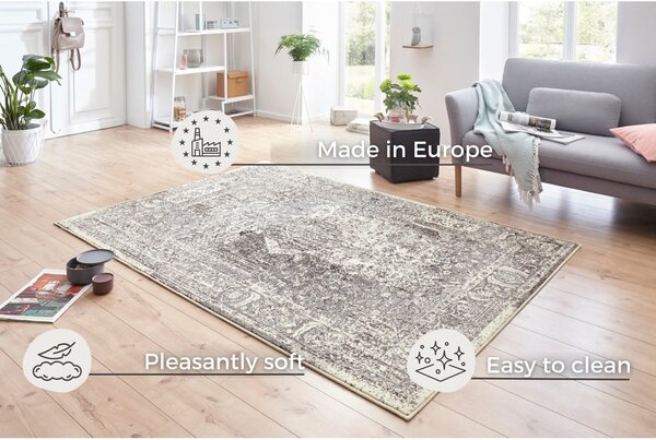 Šedo-krémový koberec Hanse Home Celebration Plume, 120 x 170 cm