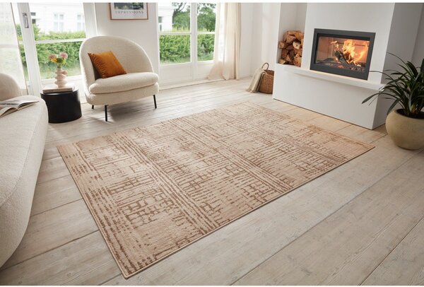Hnědo-béžový koberec 240x340 cm Terrain – Hanse Home