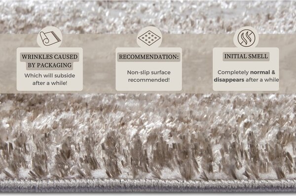 Koberec v béžovo-stříbrné barvě 57x90 cm Shine Classic – Hanse Home