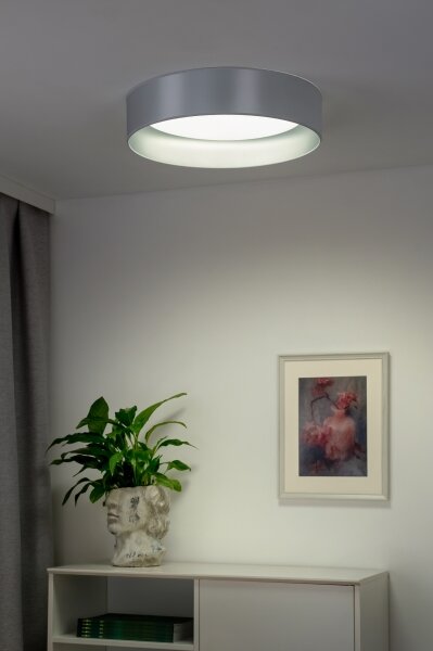 Duolla - LED Stropní svítidlo ROLLER LED/24W/230V pr. 45 cm stříbrná
