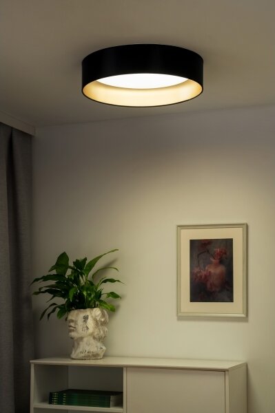 Duolla - LED Stropní svítidlo ROLLER LED/24W/230V pr. 45 cm černá/zlatá