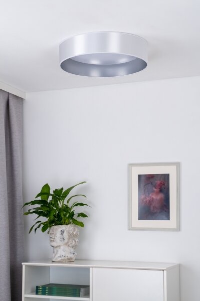 Duolla - LED Stropní svítidlo ROLLER LED/24W/230V pr. 45 cm stříbrná