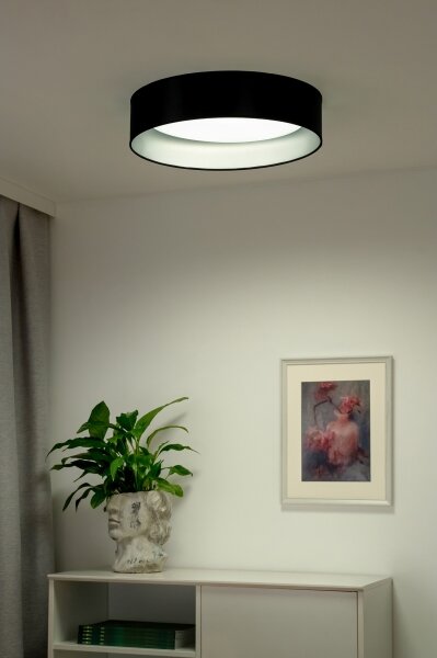 Duolla - LED Stropní svítidlo ROLLER LED/24W/230V pr. 45 cm černá/stříbrná