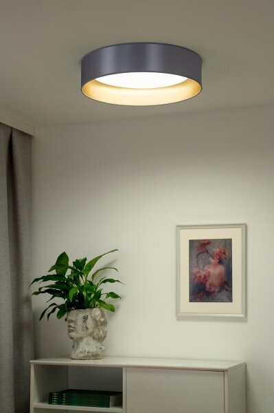 Duolla - LED Stropní svítidlo ROLLER LED/24W/230V pr. 45 cm stříbrná/zlatá