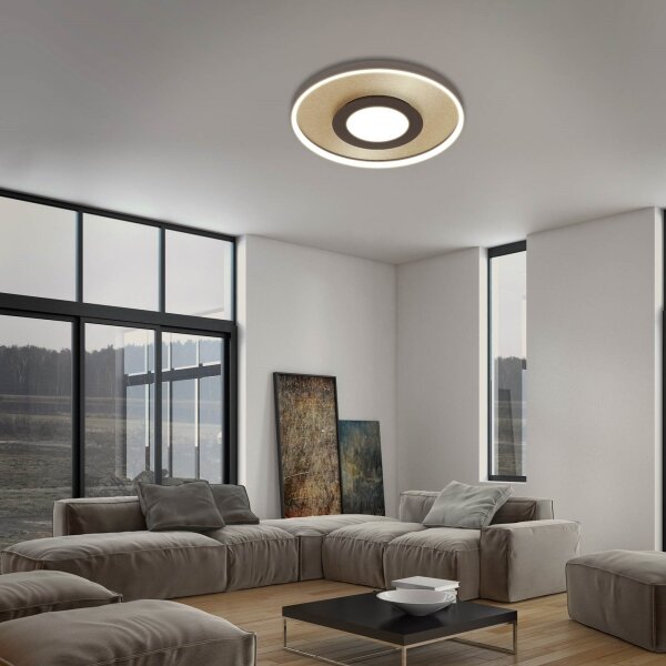 Briloner 3640017 - LED Stmívatelné stropní svítidlo LED/25W/230V 2700-6500K + DO