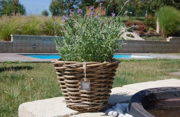 RATANOVÝ Květináč CLASIC VASE small, Grey, Ø28x18 cm (Van der Leeden®)