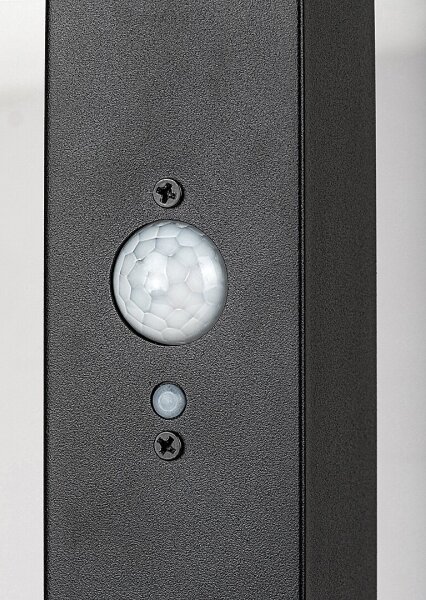 Rabalux 77045 - LED Solární lampa GELEEN LED/4W/3,7V IP44 černá