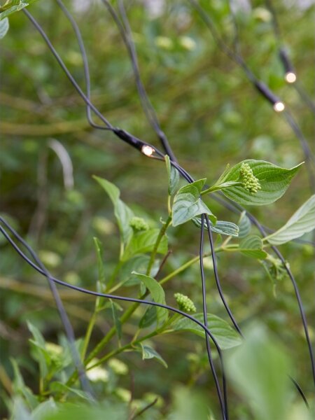 Markslöjd 108178-LED Venkovní vánoční závěs GARDEN24 160xLED/24V 2x2m teplá bílá