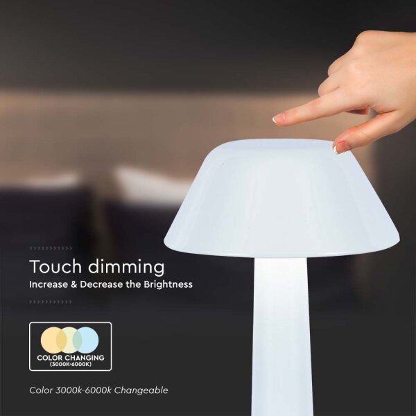 LED Stmívatelná nabíjecí stolní lampa LED/1W/5V 3000-6000K bílá