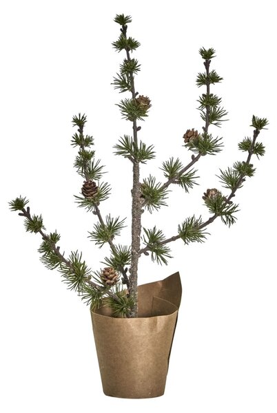 Vánoční stromek Cedar 40 cm House Doctor