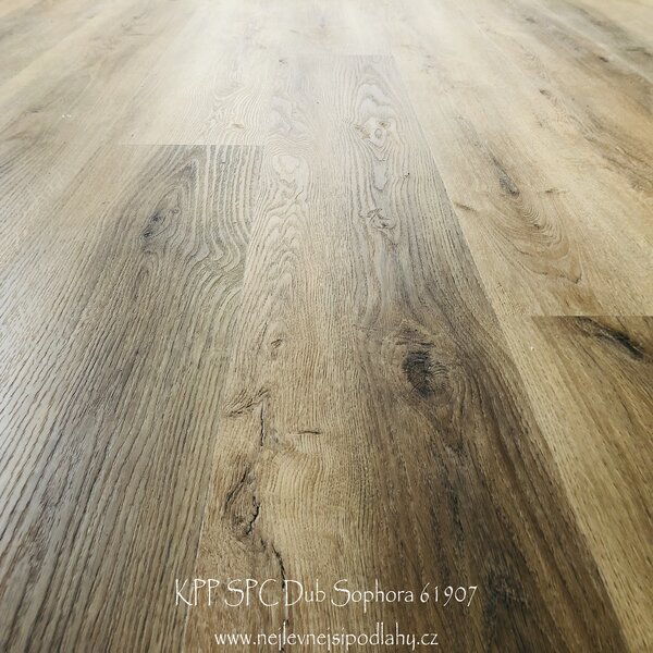 KPP X-CELLENT WOOD - Dub Sophora/Purna 62011