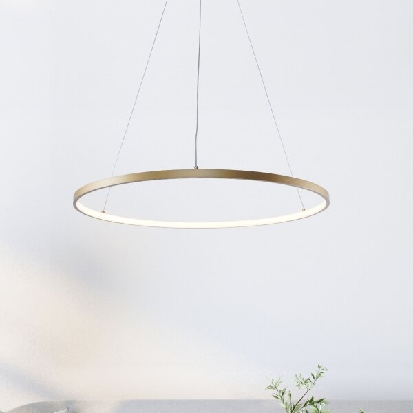 Zuma Line 2023201-GD60 - LED Lustr na lanku BRENO LED/28W/230V 3000/4000/6000K