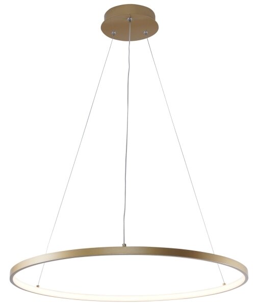 Zuma Line 2023201-GD60 - LED Lustr na lanku BRENO LED/28W/230V 3000/4000/6000K