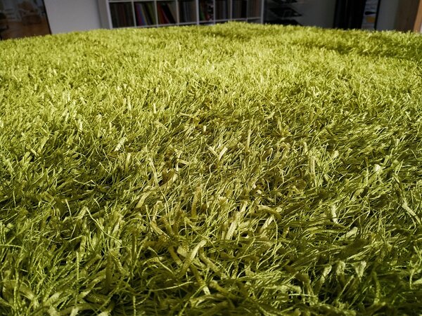 Shaggy Lilou green 93100