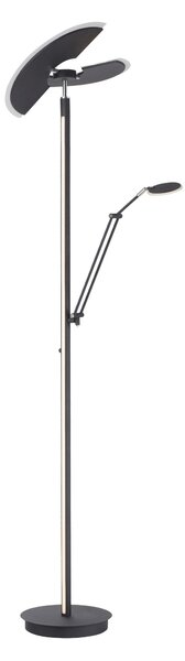 LED STOJACÍ LAMPA, 87/44/202 cm - Stojací lampy