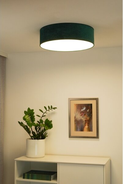 Duolla - LED Stropní svítidlo CORTINA LED/26W/230V pr. 30 cm 4000K zelená