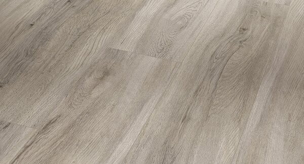 PARADOR Basic 5.3 SPC Dub pastelově šedý kartáčovaná struktura 1743005 - 2.18 m2