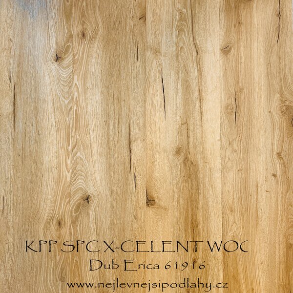 KPP SPC X-CELLENT WOOD - Dub Erica 80101 2,196 m2