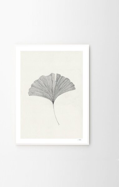 The Poster Club Plakát Ginkgo Leaf by Ana Frois A4 (21x27cm)