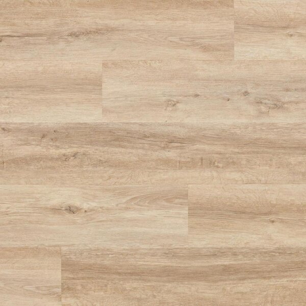 Arbiton Woodric Acoustic Dub Windsor CWA 184 2,235 m2