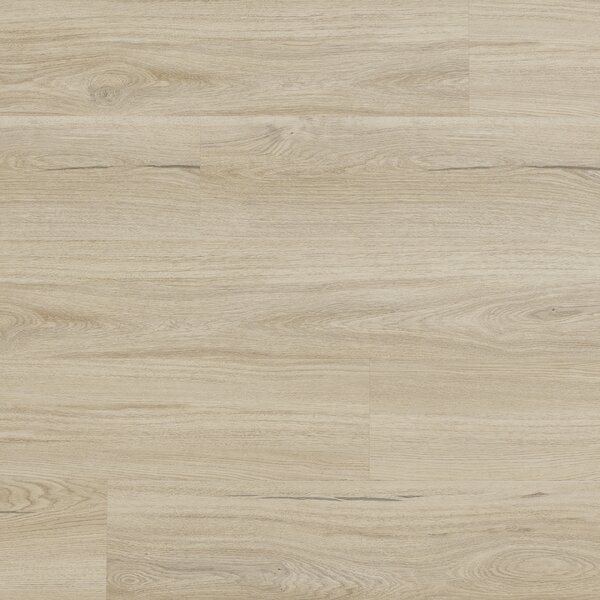 Arbiton Woodric Eir Dub Salerno CWS 209 2,235 m2