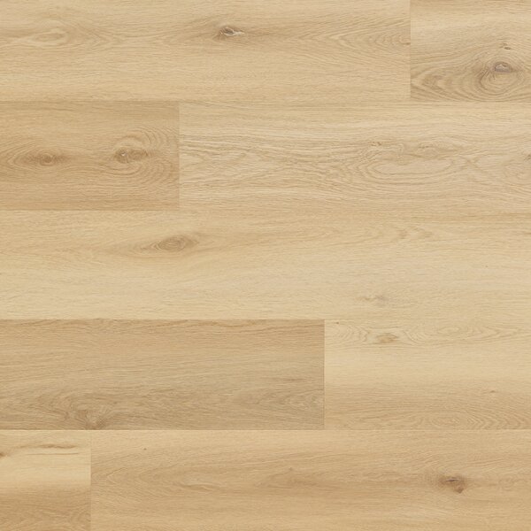 Arbiton Woodric Eir Acoustic Dub Highlands CWSA 205 2,235 m2