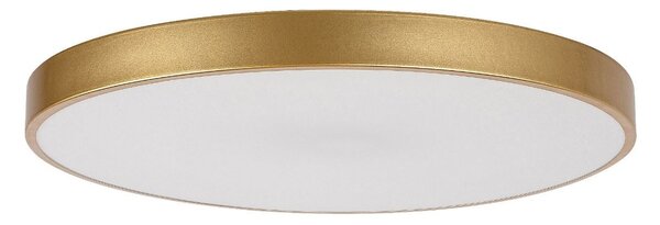 Rabalux 98071038 LED přisazené stropní svítidlo Tesia | 60W integrovaný LED zdroj | 3760lm | 3000-6000K