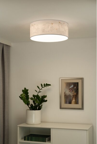 Duolla - LED Dětské stropní svítidlo CORTINA LED/26W/230V pr. 40 cm 4000K