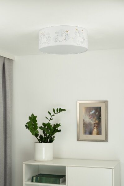 Duolla - LED Dětské stropní svítidlo CORTINA LED/26W/230V pr. 40 cm 4000K