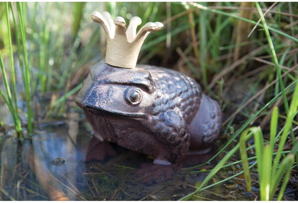 Kovová zahradní soška Frog – Esschert Design