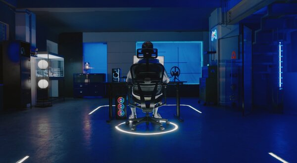 Ergonomické křeslo Ergohuman 2 Ultra BS Black