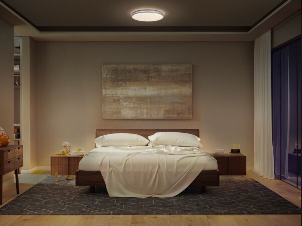 Ledvance - LED Stropní svítidlo ORBIS DUBLIN LED/24W/230V pr. 39 cm
