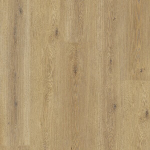V-podlahy Experto LVT 55 Dub Calle 8196L-001 4,1806 m2