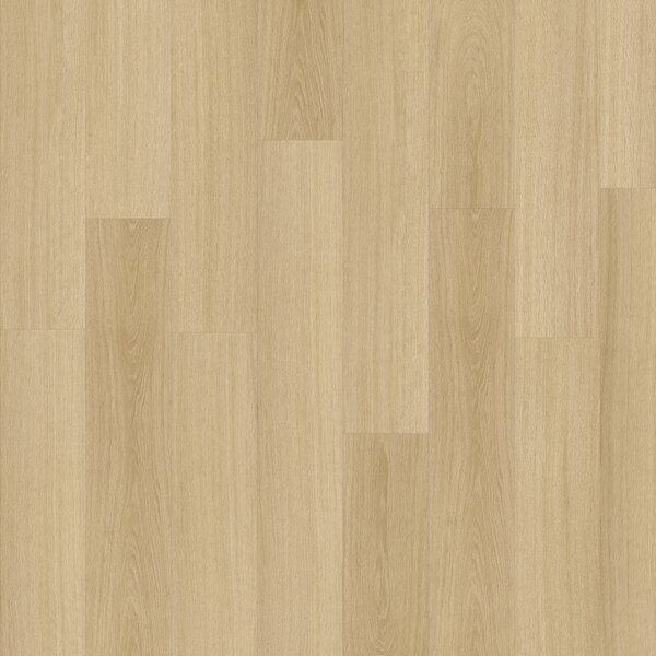 IVC Group Moduleo Roots 55 Glyde Oak 22219 3,622 m2